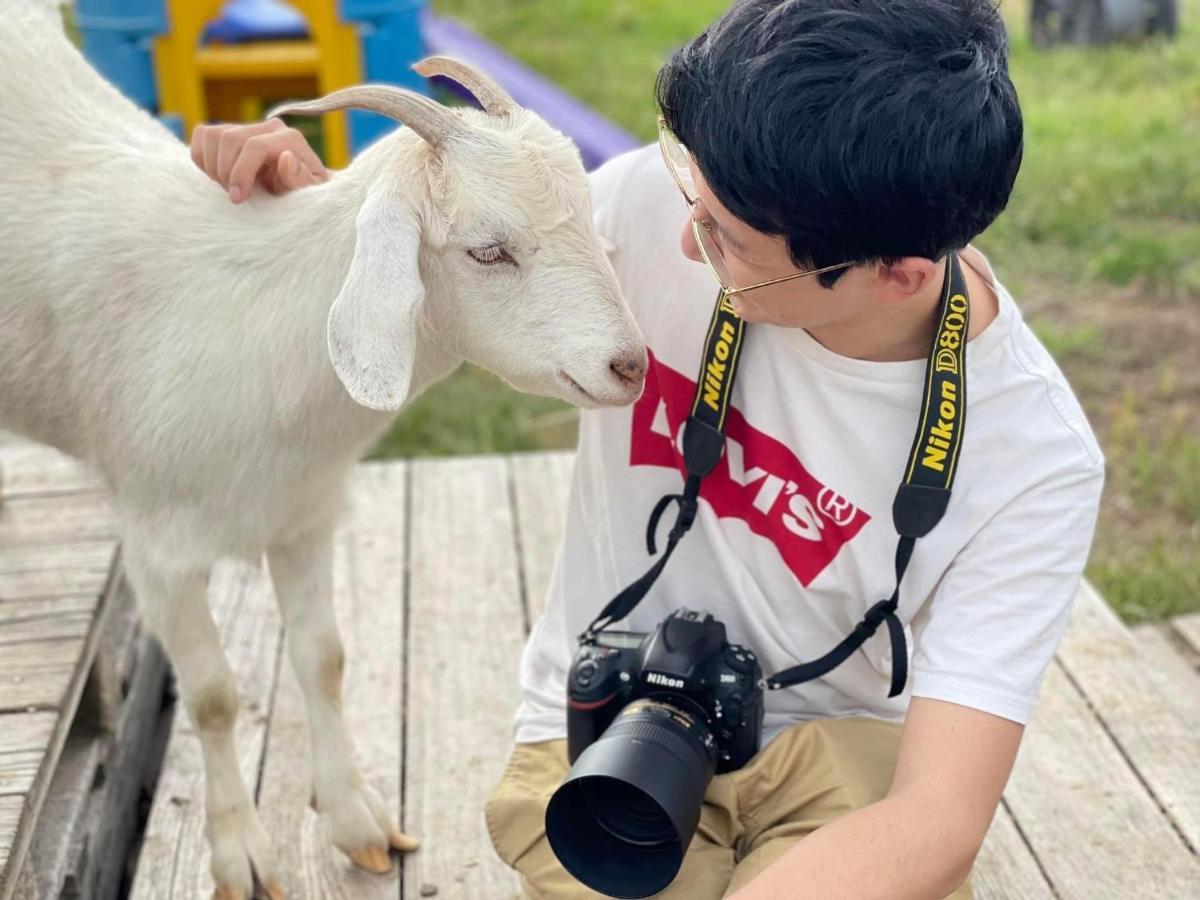 Отель Glenview Alpaca Farm Ясс Экстерьер фото