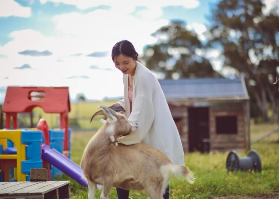 Отель Glenview Alpaca Farm Ясс Экстерьер фото